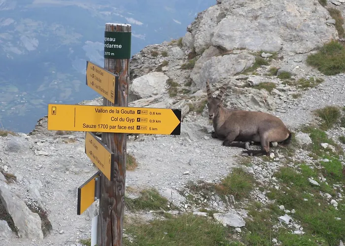 Lagodille 1500 Apartmán Pra Loup