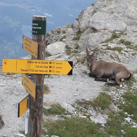 Lagodille 1500 아파트 프라루